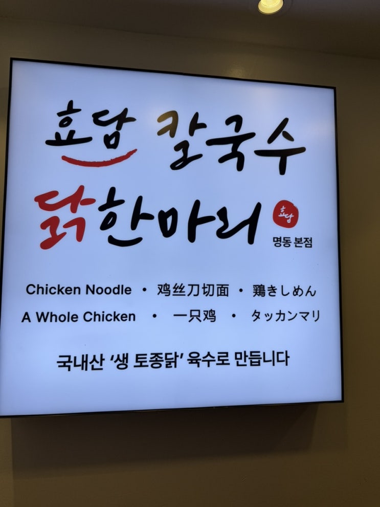  명동맛집 효담칼국수 닭한마리 감자전추천 명동한식맛집
