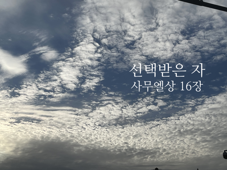  선택 받은 자 사무엘상 16장 7절