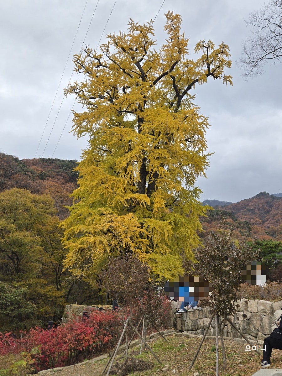 용문산촌두부 사진 1