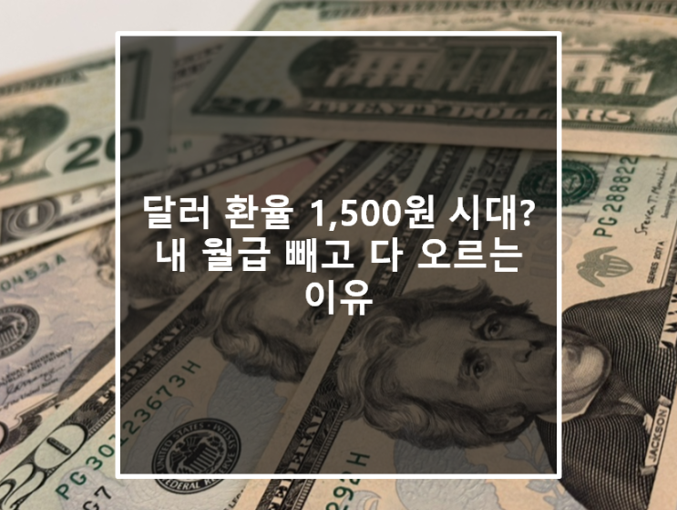  달러 환율 1,500원 시대? 내 월급 빼고 다 오르는 이유