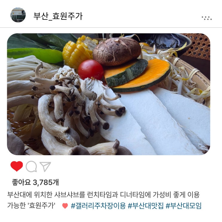   부산대 런치 추천! '효원주가'️ 샤브샤브 코스 솔직 리뷰