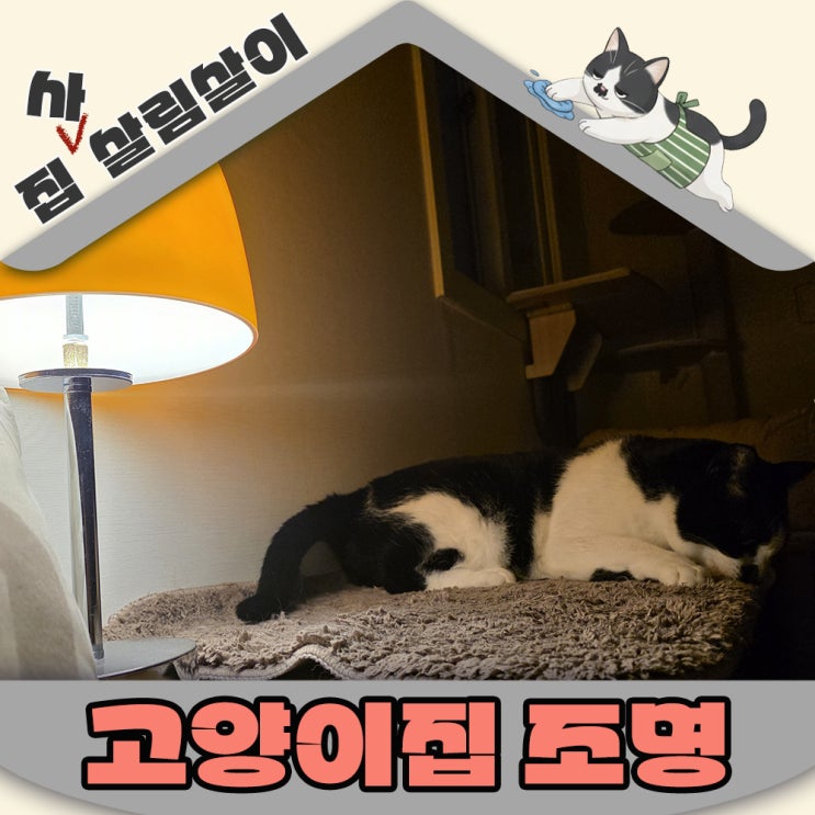  고양이집 조명은 이것도 체크해야한다!!