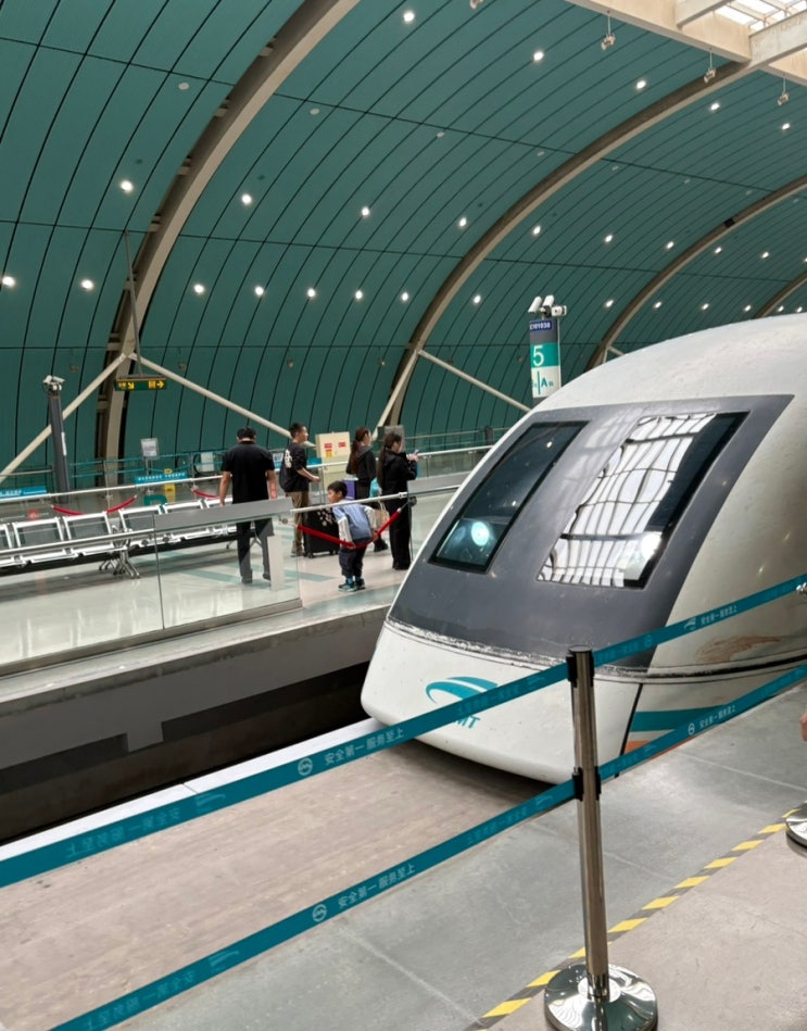  중국 상하이 푸동공항에서 시내 난징동루 가는 방법 시간, 가격 비교(지하철, 마그레브 Maglev, 택시)