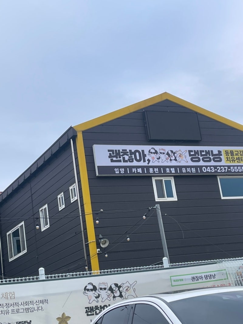 사진 3