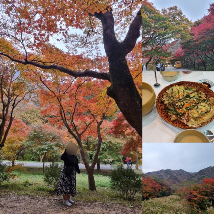  정읍 내장산국립공원 내장사 가을 단풍 명소 현황
