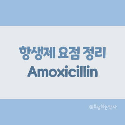  [항생제 요점 정리] Amoxicillin (아목시실린)