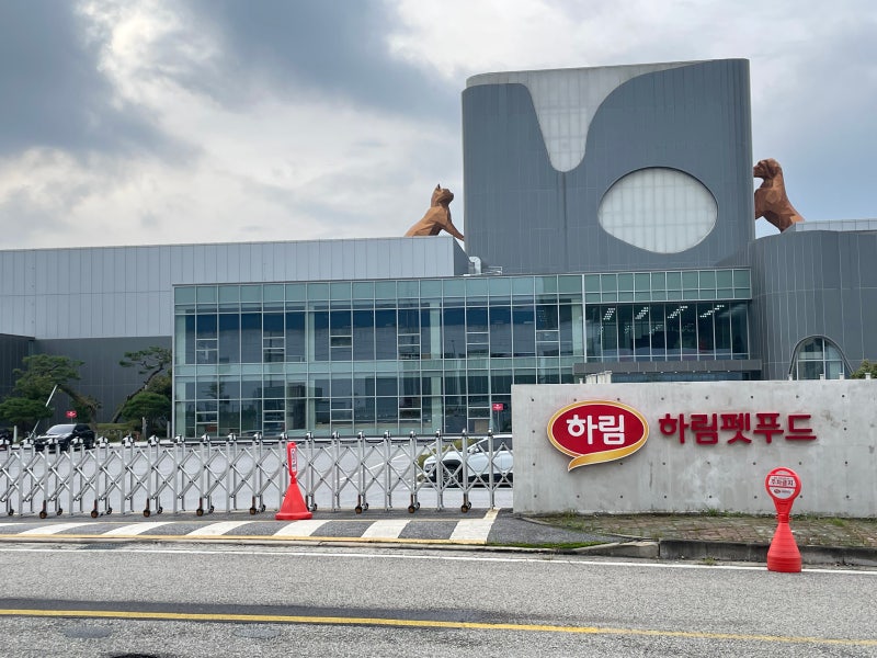 공주애견