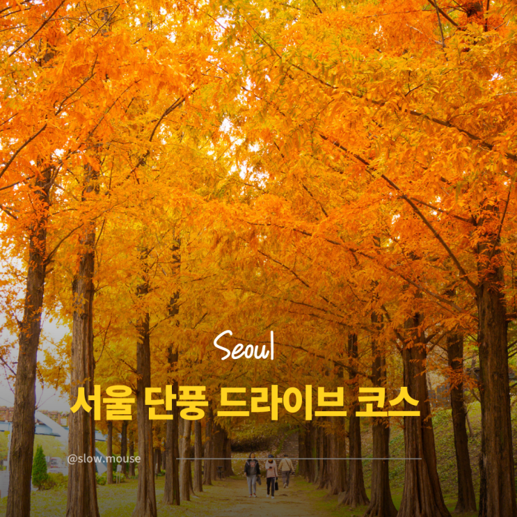  지금 안 가면 후회하는 서울 단풍길 5선