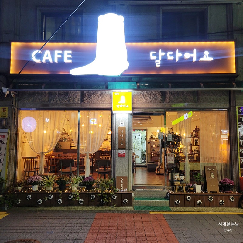 사진 9
