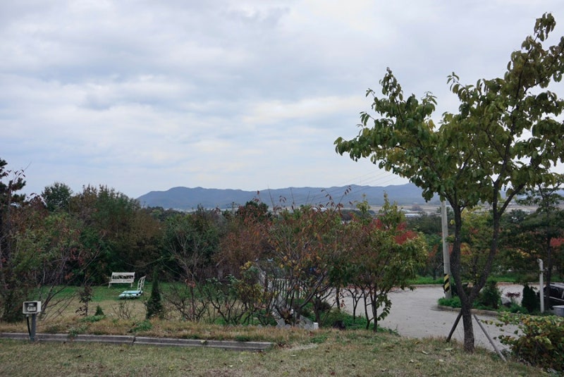사진 9