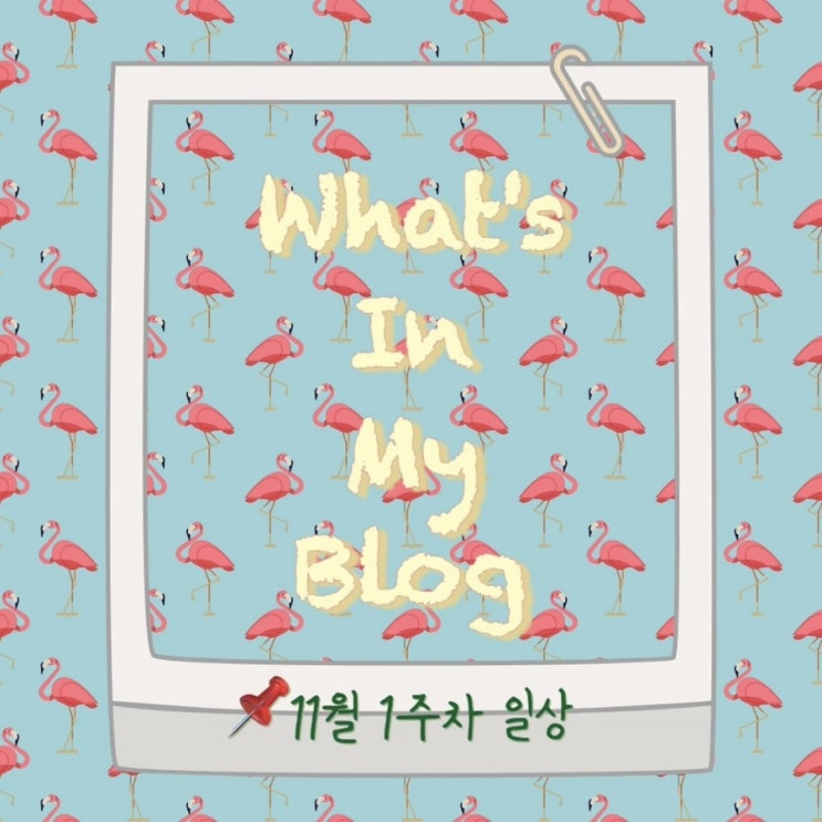  11월 1주 차 일상 정리 왓츠인마이블로그 블챌