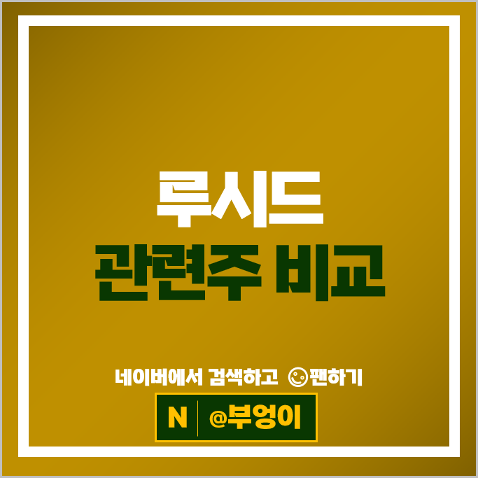 루시드 모터스 관련주 삼성SDI 상신이디피 주가 에코프로비엠엠 주식