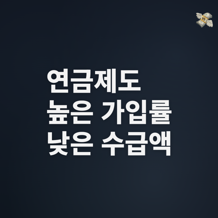  연금의 양극화, 가입률은 높지만 수급액은 낮다