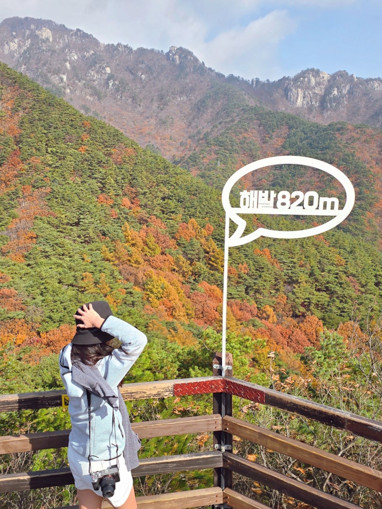  대구 근교 가볼만한곳 가을 대구 팔공산 단풍 팔공산케이블카 예약