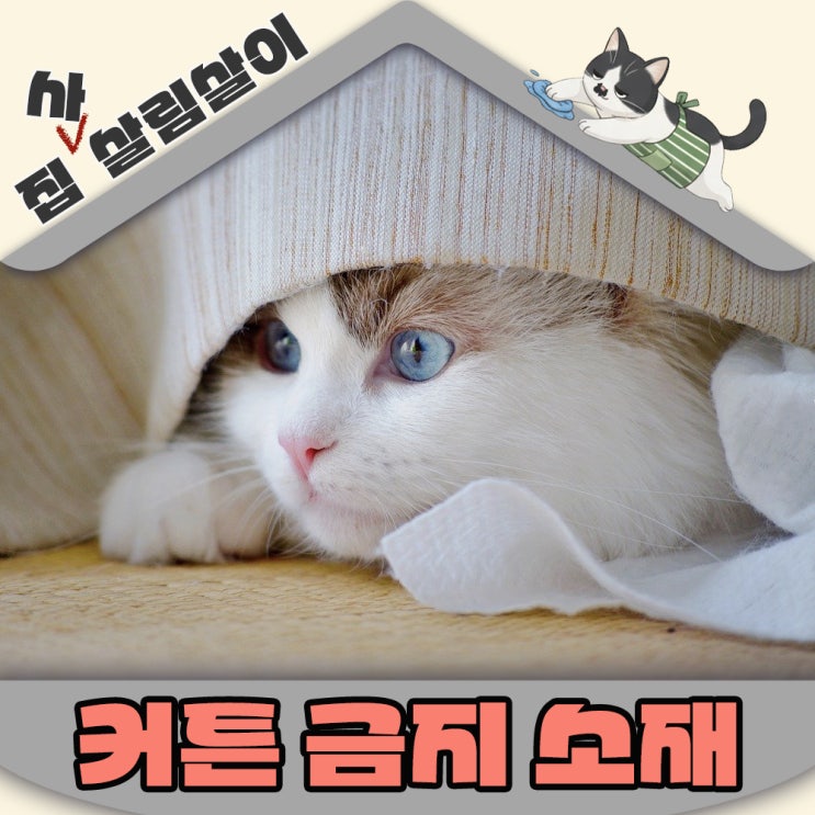  고양이 집사라면 피해야하는 커튼소재 TOP7