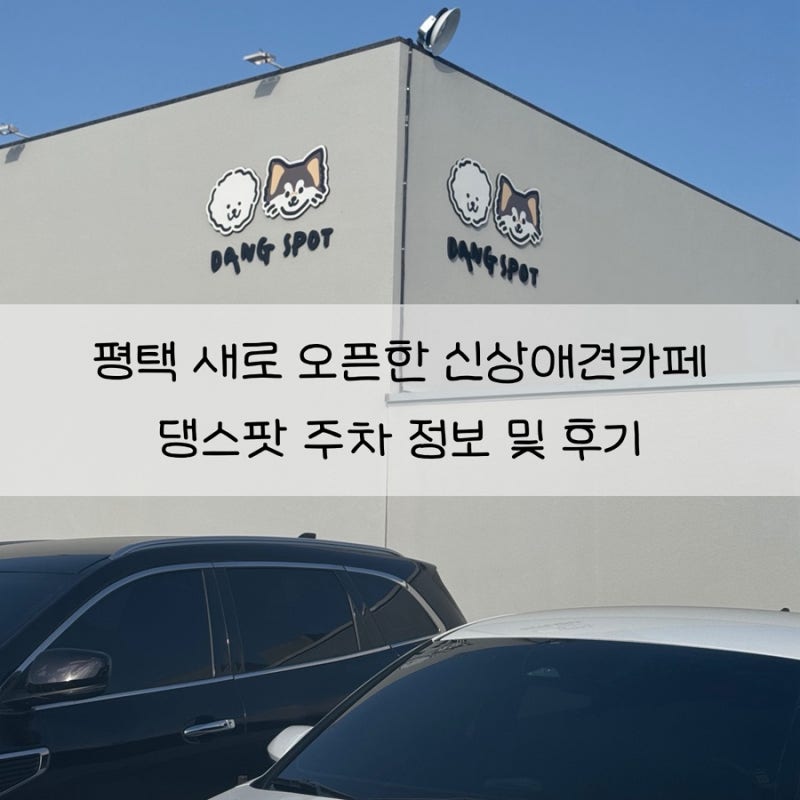 사진 5
