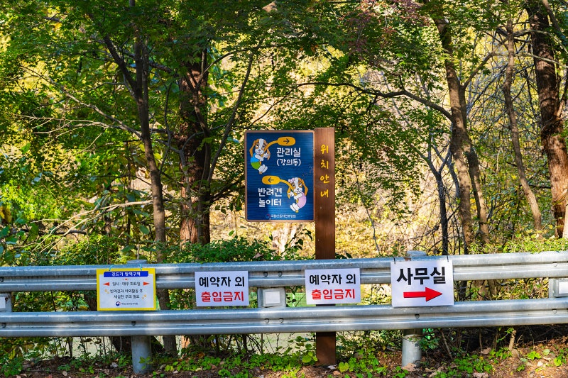 사진 5