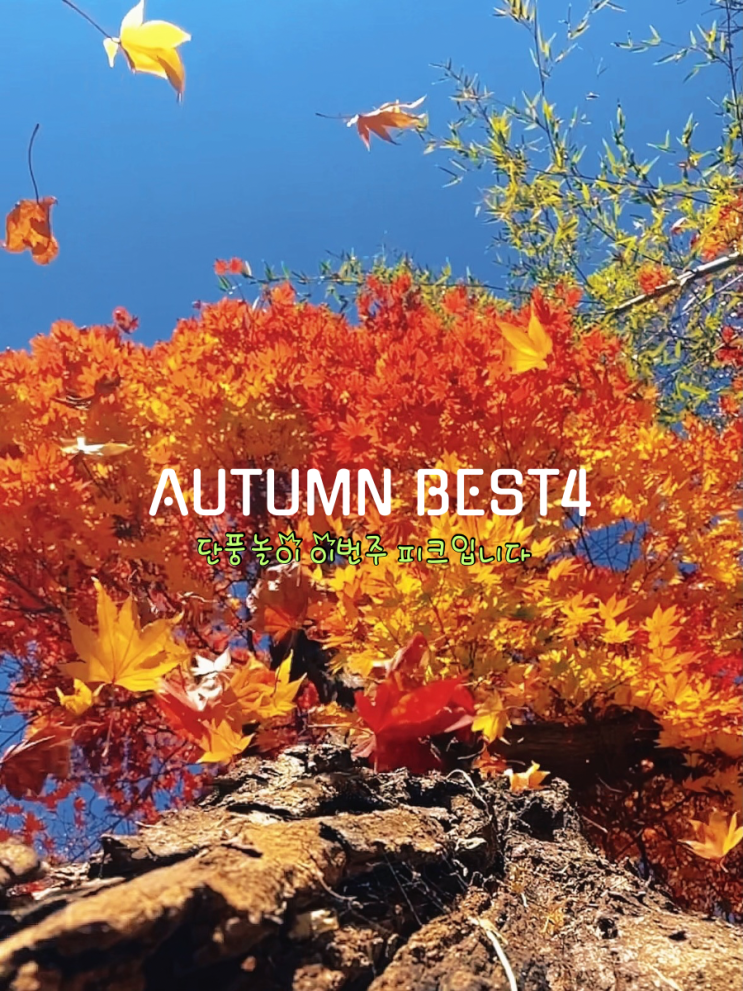  가을 여행 가볼만한곳 충북 단풍 명소 BEST 4