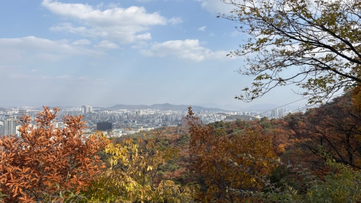  케데헌 명소 남산타워 약 실시간 단풍 후기(+서울역에서 걸어서 가는 방법)