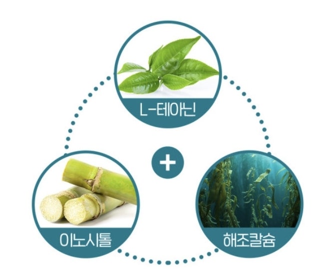 닥터린 송중기 멜라바인 소마토 — 식물성 멜라토닌으로 숙면의 질을 높이다