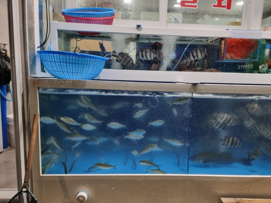 염막횟집 사진 2