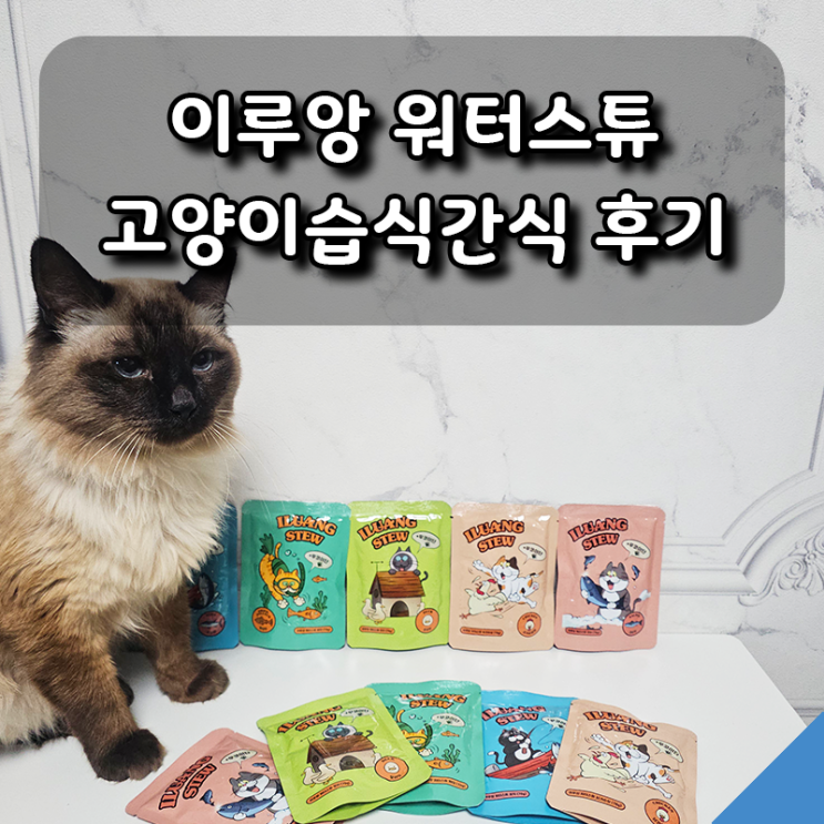  물 잘 안 마시는 냥이 주목! 고양이습식파우치 이루앙 워터스튜 후기