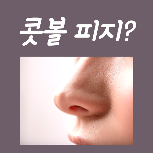  콧볼 피지, 집에서 없애는 방법 3가지?