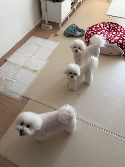 사진 5