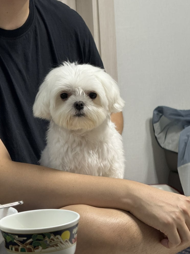  [일상] 블챌놓친 10월일상