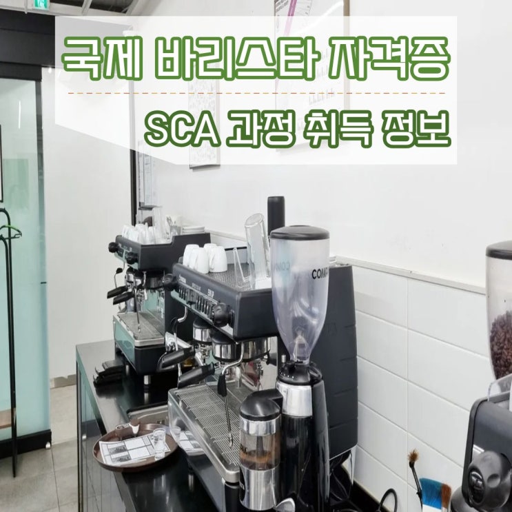  국제 바리스타 자격증 SCA 과정 취득 정보