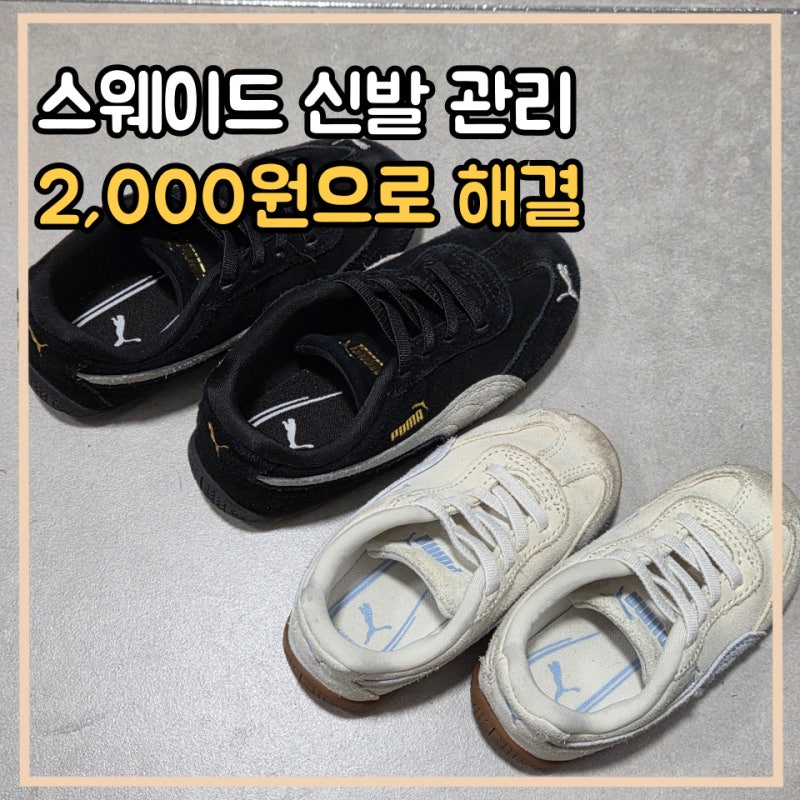 다이소 스웨이드 지우개로 스웨이드 신발 관리 솔직 후기