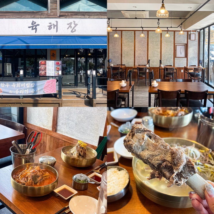  서울대입구 밥집 맛집 육개장, 갈비탕 전문점 육해장