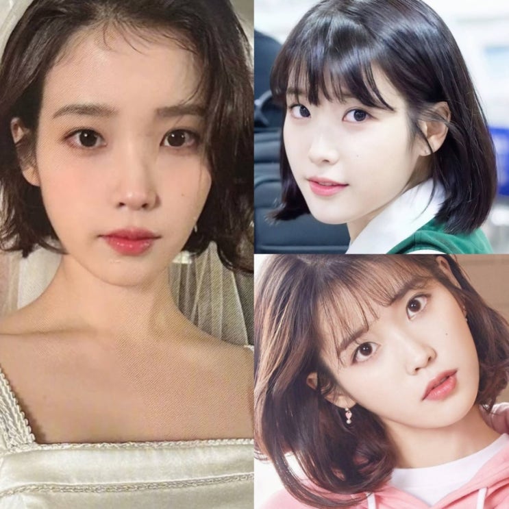  단발병 유발 아이유 보니컷, 보니펌 스타일 총정리