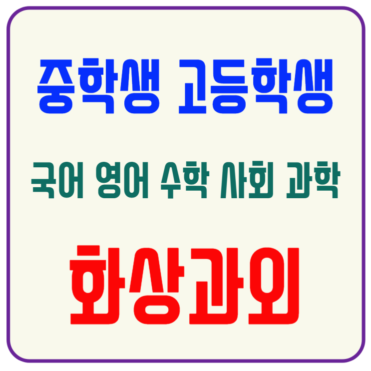  마포구 맞춤형 화상과외, 국영수 기초부터 고입까지 체계적 준비