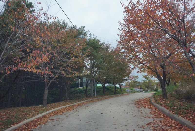 사진 8