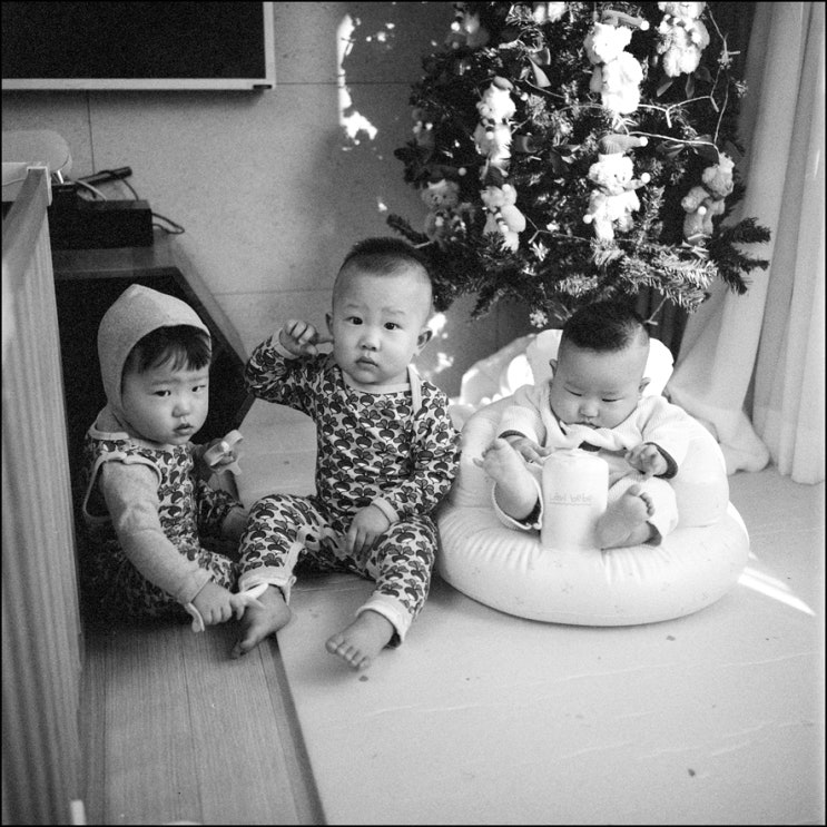  롤라이플렉스 3.5F | 코닥 TMAX400 | 2년 전 크리스마스 