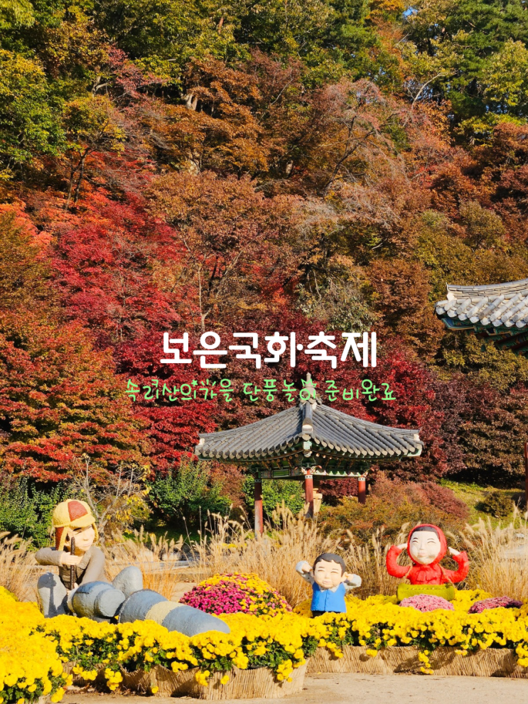  보은 법주사 단풍 실시간 국화축제 기간
