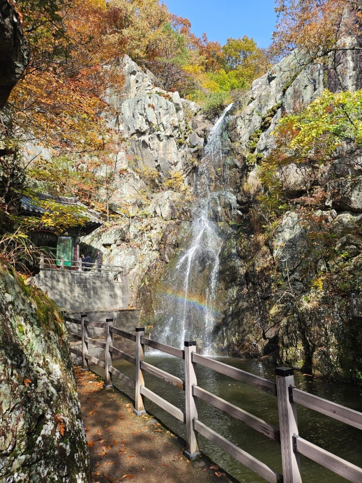  양산 단풍 명소 가을날의 홍룡사