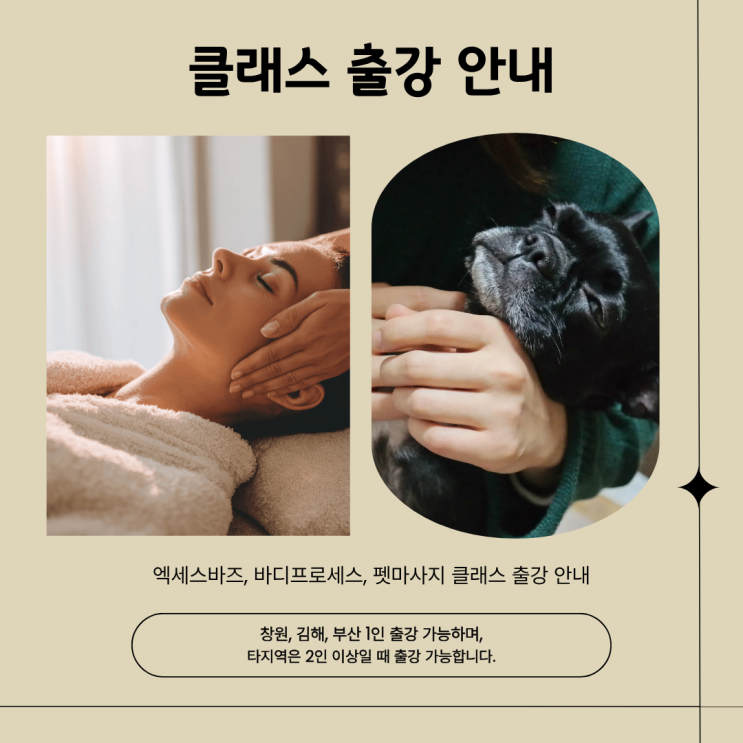  엑세스바즈 바디프로세스 펫마사지 생각정리 클래스 펫아로마테라피 펫천연비누 수업 출강 안내