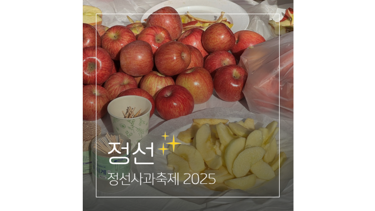  정선사과축제 2025 현장 가을 강원도 여행 가족 나들이