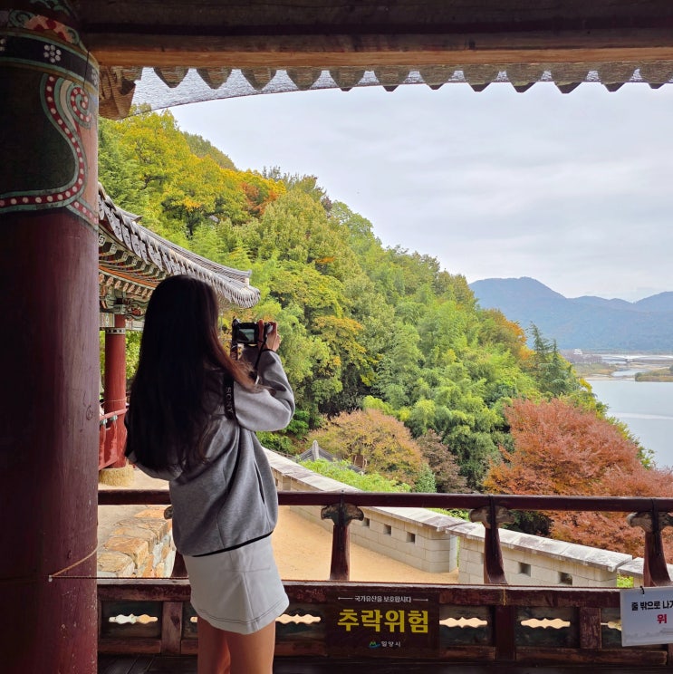  경남 단풍 명소 11월 밀양 영남루 주차 팁 단풍 실시간
