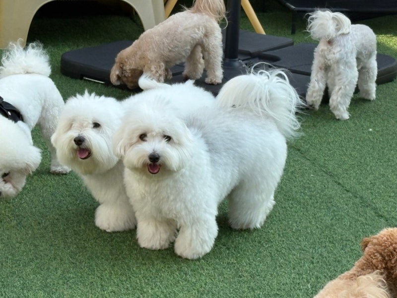 사진 3