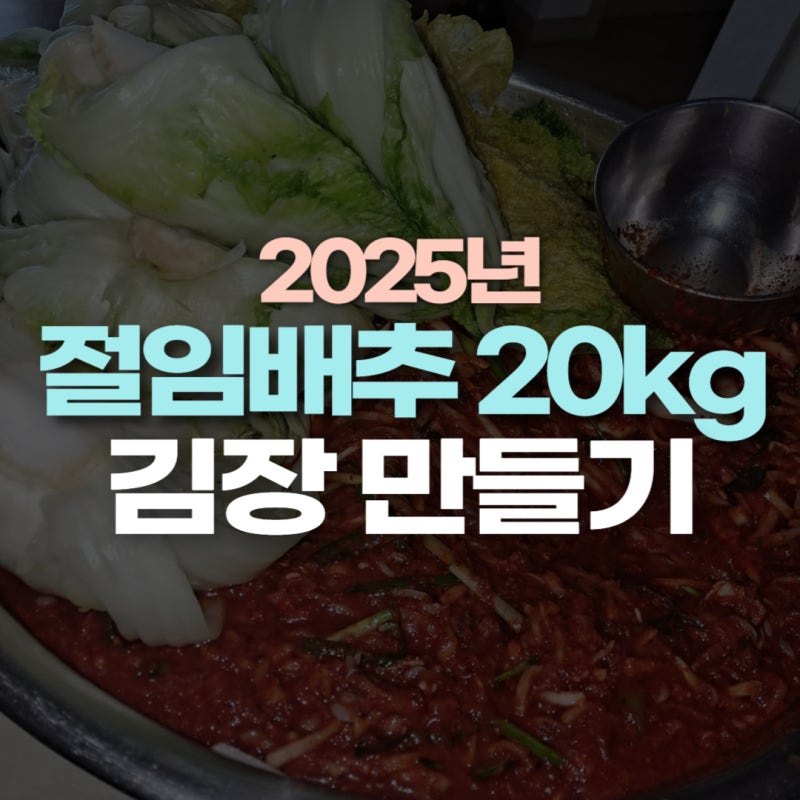 절임배추 20kg 김장 레시피 설탕 없이 배 양파로 4시간 완성