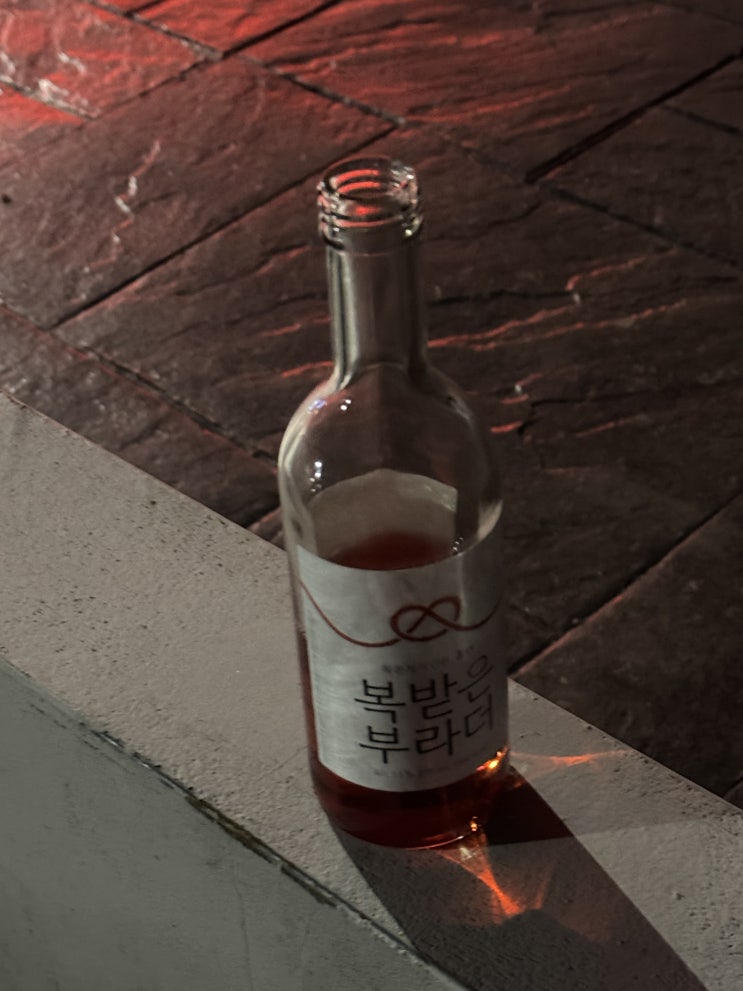  25年 11月 9日 (日) : 기억의 바닥에서 웃는 법