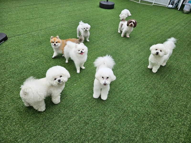 사진 4