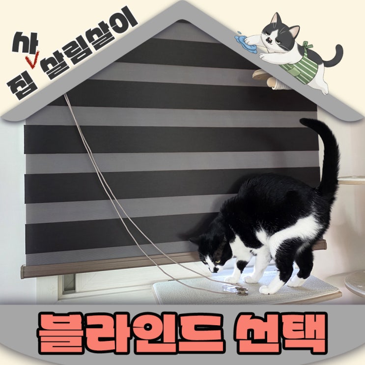  고양이 집사의 블라인드 소재 안전 관리 선택가이드