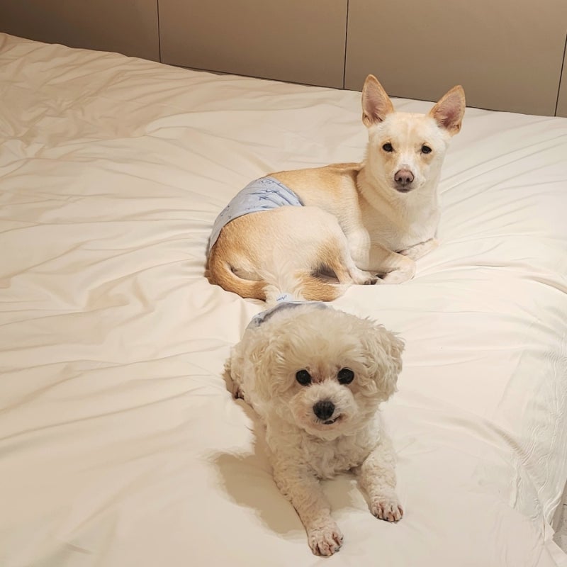 사진 7