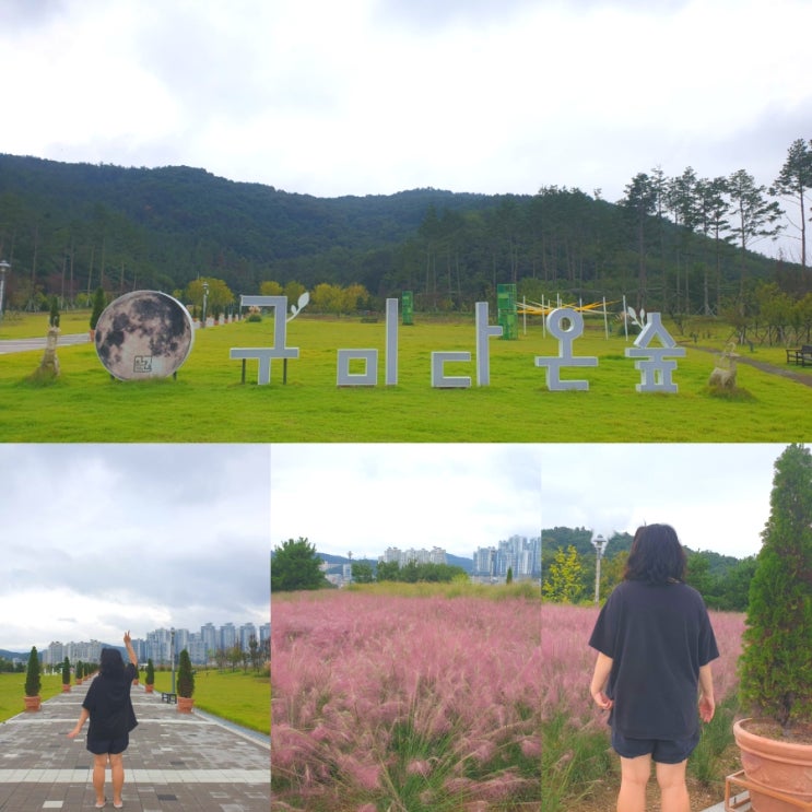  구미 다온숲 핑크뮬리 명소 대구근교 드라이브 가볼만한곳