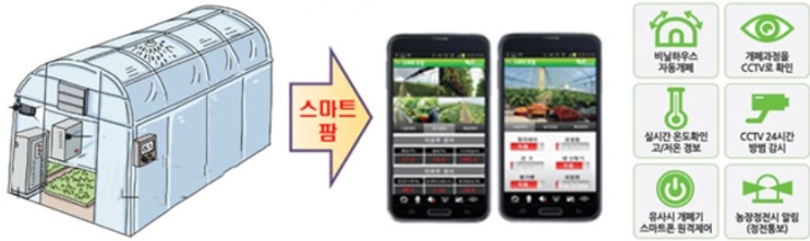  스마트 농업의 핵심, 자동화된 점적관수 시스템