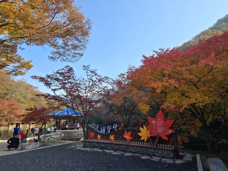  '내장산~강천산~백양사~독일마을' 단풍여행